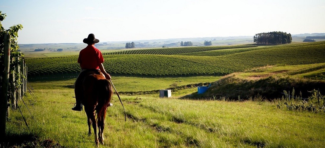SEGREDOS DO PAMPA GA�CHO C/ TREM DOS PAMPAS E RIVERA-URUGUAI 