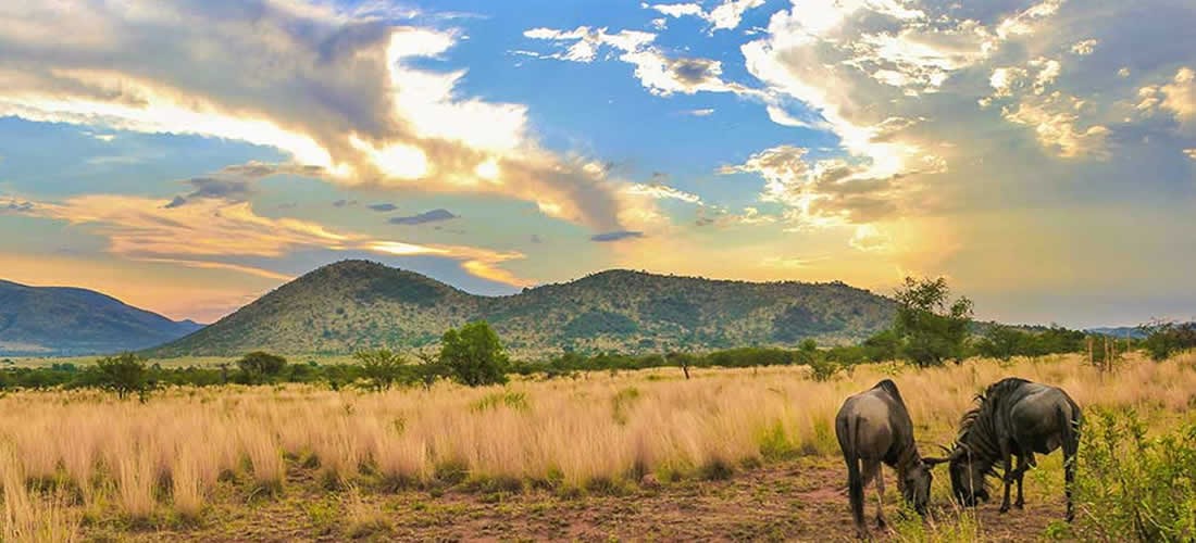 �FRICA DO SUL C/SAF�RIS PILANESBERG PARK - CIDADE DO CABO  E JOANESBURGO 2027