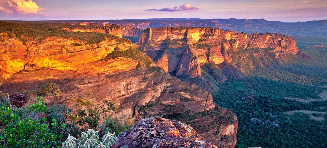 CHAPADA DOS GUIMAR�ES � CUIAB� � NOBRES � PANTANAL NORTE � SAF�RIS